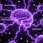 how neural networks work
