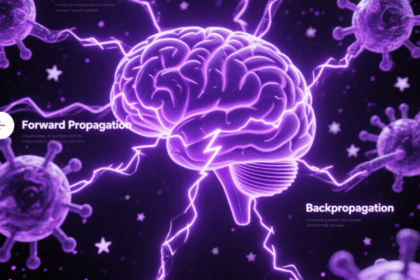 how neural networks work